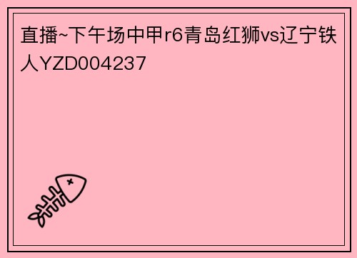 直播~下午场中甲r6青岛红狮vs辽宁铁人YZD004237
